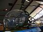 hiller_raven_016