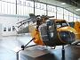 bristol_sycamore_039