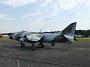 harrier_152