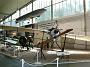 rumpler_taube_063