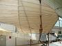 rumpler_taube_066