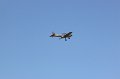 mda_sintra_chipmunk_007