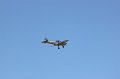 mda_sintra_chipmunk_010