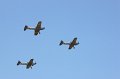 mda_sintra_chipmunk_020