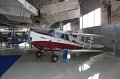 mda_sintra_hornet_moth_001