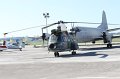 mda_sintra_puma
