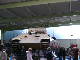 panther